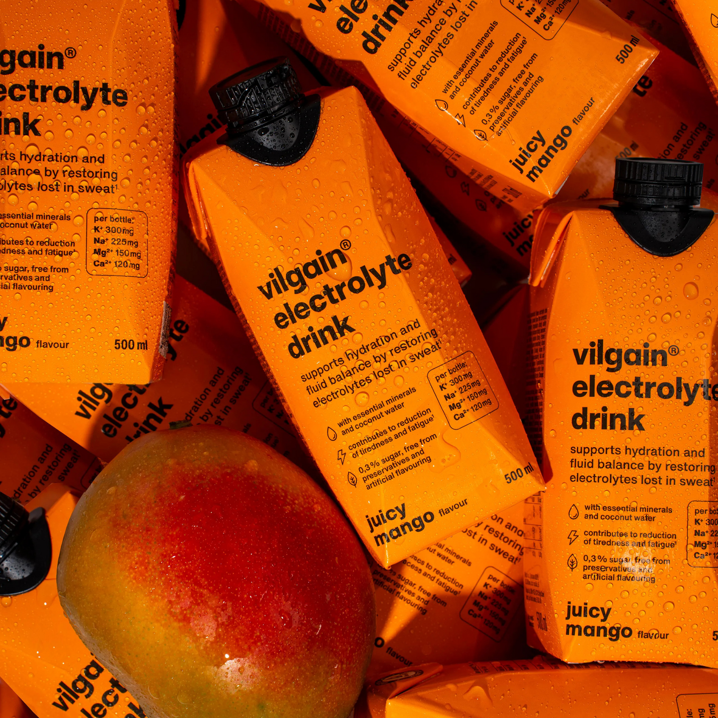 Vilgain Electrolyte Drink